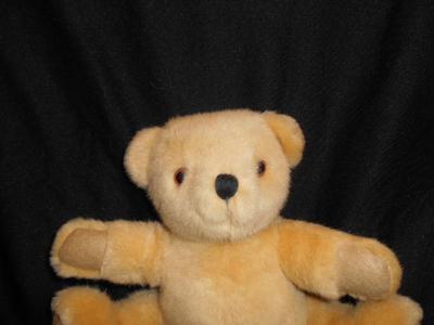 teddy bear collectors name