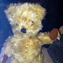 Teddy Bear Identification And Valuation Tips