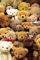 teddy bear collectors near me