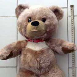 Teddy Bear Identification And Valuation Tips