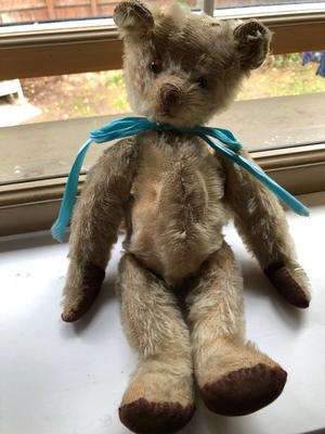 cute well loved teddy