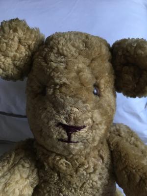 face of 1947 teddy bear