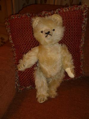 white haired teddy bear