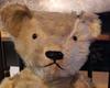 teddy bear face